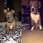 wiley and nelson - @wiley_nelson123 - Instagram