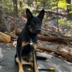 Wiley Nelson - @wileys_wild_adventure - Instagram