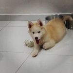 Wiley - @wileynelson_ - Instagram