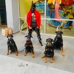 Wiley Edwards Fan Page - @wileyedwards - Instagram