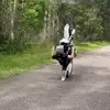 Wiley Roberts - @wiley.roberts - TikTok