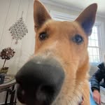 Wiley Robertson - @livinthelifeofwiley - Instagram