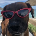 Wiley Robinson - @the.wiley - Instagram