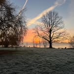 Wiley Robinson - @cpg_podcast - Instagram