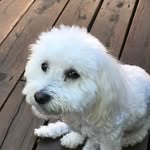 Cheryl  Tritsch Wiley Spears - @cheryltritschwiley - Instagram