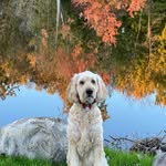 Cindy Wiley Webb - @cindywileywebb - Instagram