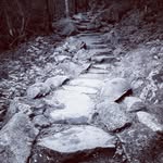 wiley calvin webb - @wileycalvinwebb - Instagram