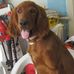 Wiley Welch - Facebook