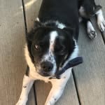 ChristyWileyWells - @christywileywells - Instagram