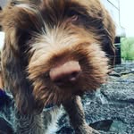 Hank Wiley West - @wiredhank - Instagram