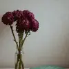 wileyweston6 - @wileyweston6 - TikTok