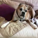 Wiley Williams - @wileyjenner - Instagram