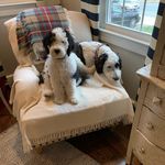 Wiley & Wilson - @wileyandwilson - Instagram