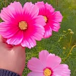 Alice - @wilfred_alice4 - Instagram