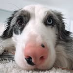WILFRED ANDERSON-SANDERSON - @wilfred_andersonsanderson - Instagram