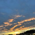 Wilfred bean - @wilfredbean1080 - Instagram