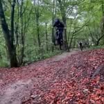 Wilfred bell - @wilfredb347 - Instagram