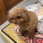 Wilfred Benson - @esther60066 - Instagram