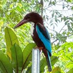 Wildlife By Wilfred - @wildlife_by_wilfred - Instagram