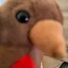 Wilfred the bird - @wilfred_the_bird - TikTok