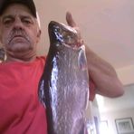 Wilfred Boudreau - Facebook