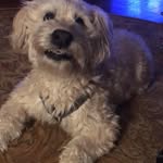 Wilfred Brant - @suntubabai - Instagram