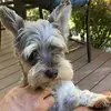 wilfred Brant - @wilfredbrant1383 - TikTok