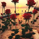 Bright Wilfred - @wilfredbright - Instagram