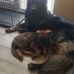 Wilfred Cameron - Facebook