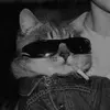 Wilfred Castillo - @wilfredcastillo04 - TikTok