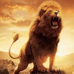Wilfred Changala - @changalawilfred - Instagram