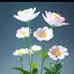 Wilfreda Chu - Facebook