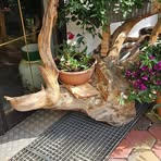 Wilfred Clements - Facebook