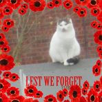 Wilfred Collier - Facebook