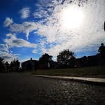 Wilfred - @wilfred.coopers - Instagram