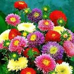 Wilfred Davidson - Facebook
