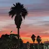 Wilfred Grant - @wilfred.grant5 - TikTok