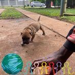 Wilfred Gregory - Facebook