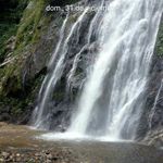 Wilfredo Guzman - @wilfredo.guzman.75839 - Instagram