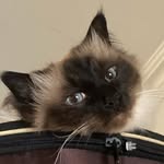 Wilfred  Langguth Hansen - @wilfredlangguth - Instagram