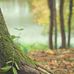 Wilfred Hatch - Facebook
