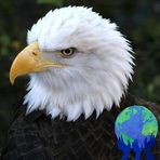 Wilfred Holt - Facebook
