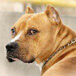 wilfred - @wilfred_jimenez - Instagram