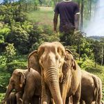 wilfred kidau - @kidauwilfred - Instagram