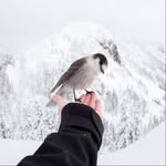 wilfred.lloyd.831 - @wilfred.lloyd.831 - Instagram