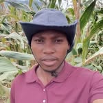 Wilfred michael - @wilfredmichael658 - Instagram