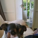 Wilfred Moore - @wilfredmoore75 - Instagram