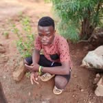 wilfred moses - @wilfredm591 - Instagram