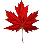 Wilfred Ouellette - @canadiancannabisservices - Instagram