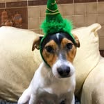 Wilfred_sutton - @wilfred_sutton_ - Instagram